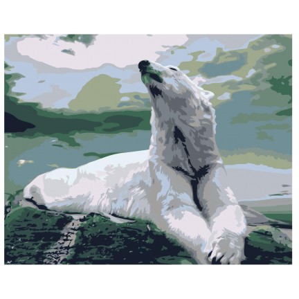 Pieškite pagal skaičius Z-AB433 Pieškite pagal skaičius Z-AB433