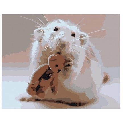 Pieškite pagal skaičius Z-AB444 Pieškite pagal skaičius Z-AB444