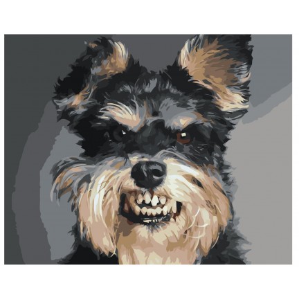 Pieškite pagal skaičius Z-AB593 Pieškite pagal skaičius Z-AB593