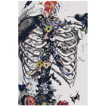 Pieškite pagal skaičius Z-AB618 Pieškite pagal skaičius Z-AB618