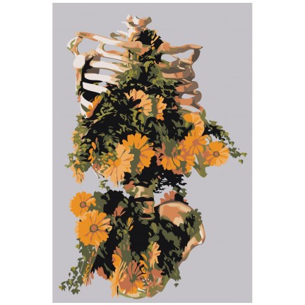 Pieškite pagal skaičius Z-AB655 Pieškite pagal skaičius Z-AB655