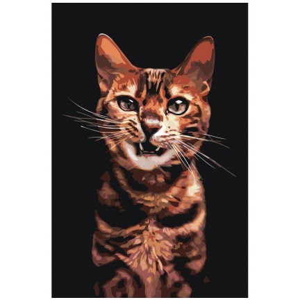 Pieškite pagal skaičius Z-NA28 Pieškite pagal skaičius Z-NA28