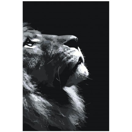 Pieškite pagal skaičius Z-NA30 Pieškite pagal skaičius Z-NA30