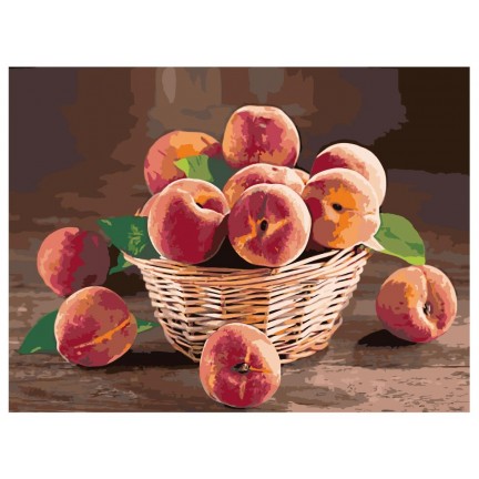 Pieškite pagal skaičius Z-Z101958 Pieškite pagal skaičius Z-Z101958