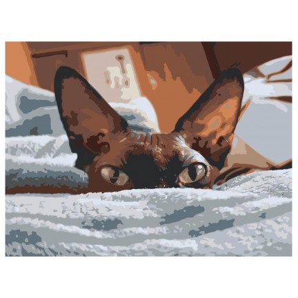 Pieškite pagal skaičius Z-Z34902 Pieškite pagal skaičius Z-Z34902