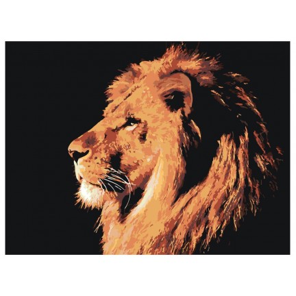 Pieškite pagal skaičius Z-Z4020 Pieškite pagal skaičius Z-Z4020