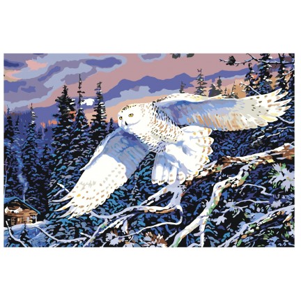 Pieškite pagal skaičius Z3175 Pieškite pagal skaičius Z3175