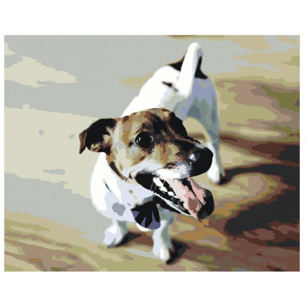 Pieškite pagal skaičius Z3484 Pieškite pagal skaičius Z3484