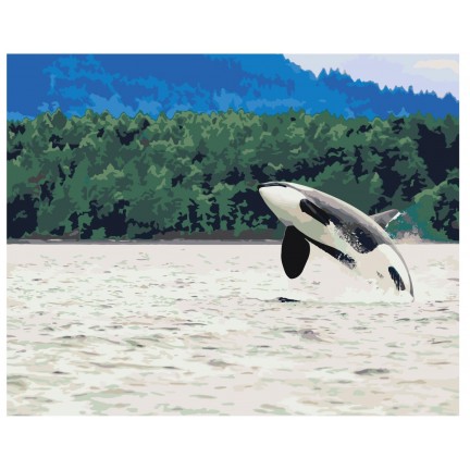 Pieškite pagal skaičius Z68501 Pieškite pagal skaičius Z68501