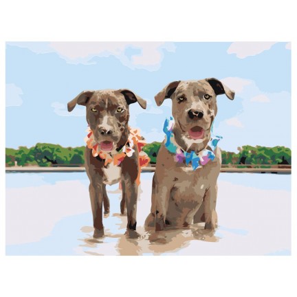 Pieškite pagal skaičius ets359-3040 Pieškite pagal skaičius ets359-3040