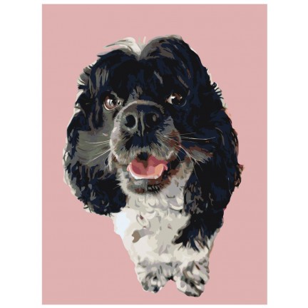 Pieškite pagal skaičius ets454-2-3040 Pieškite pagal skaičius ets454-2-3040