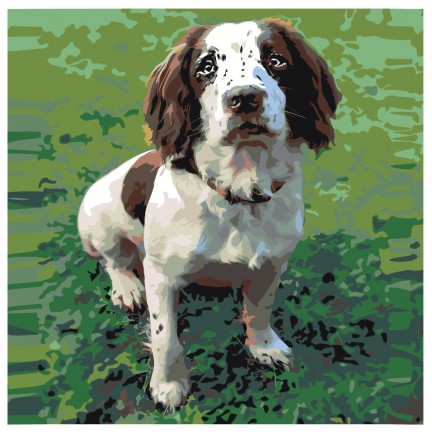 Pieškite pagal skaičius ets480-2v2-30401 Pieškite pagal skaičius ets480-2v2-30401