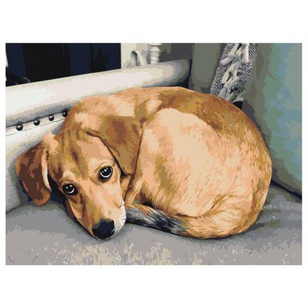 Pieškite pagal skaičius ets488-3040 Pieškite pagal skaičius ets488-3040