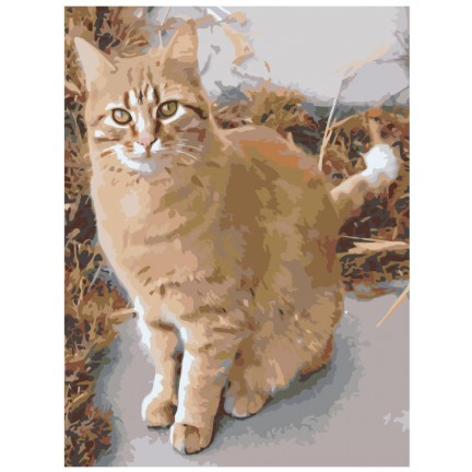 Pieškite pagal skaičius ets544-5-30401