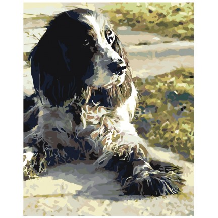 Pieškite pagal skaičius z5800 Pieškite pagal skaičius z5800