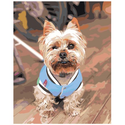 Pieškite pagal skaičius z69281 Pieškite pagal skaičius z69281