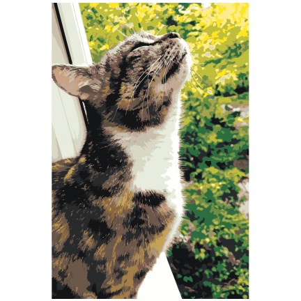 Pieškite pagal skaičius z76202