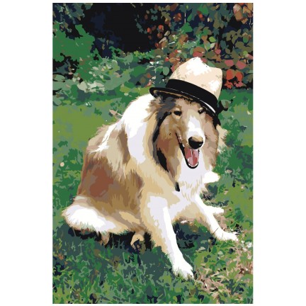 Pieškite pagal skaičius zai499790-4060 Pieškite pagal skaičius zai499790-4060