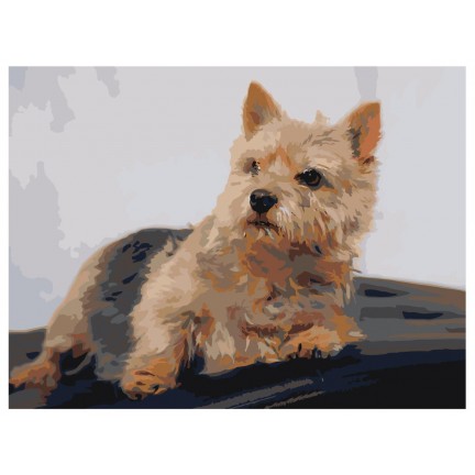 Pieškite pagal skaičius zai501847-3040 Pieškite pagal skaičius zai501847-3040