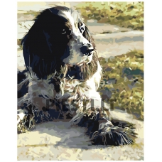 Pieškite pagal skaičius z5800