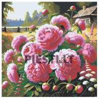 Pieškite pagal skaičius zgena050525-1