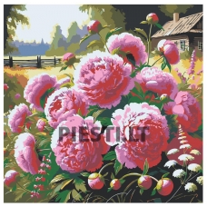 Pieškite pagal skaičius zgena050525-1